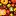 Pastosapasta.com Favicon