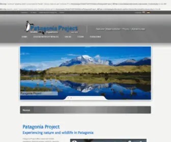 Patagoniaproject.com(Patagonia Project Patagonia Project) Screenshot