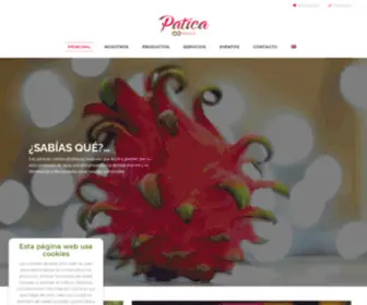 Paticacr.com(Patica Products Costa Rica) Screenshot