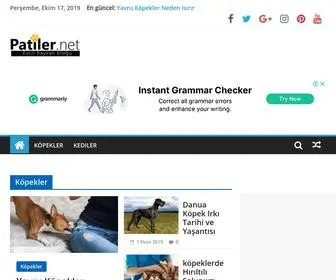 Patiler.net(Kedi k) Screenshot