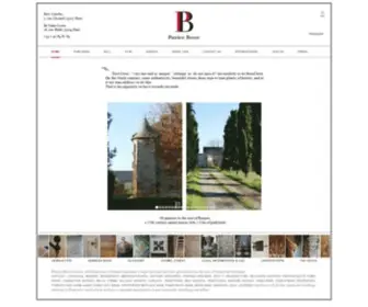 Patrice-Besse.co.uk(French castle for sale) Screenshot
