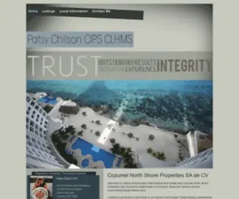 Patsychilsonrealtor.com(Cozumel Quintana Roo Homes for Sale) Screenshot