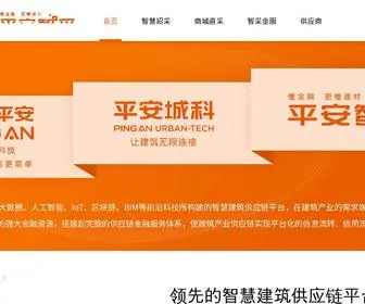 Pauct.com(招标网) Screenshot