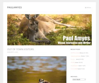 Paulamyes.com(paulamyes) Screenshot