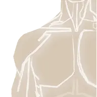 Paulbradymd.com Favicon