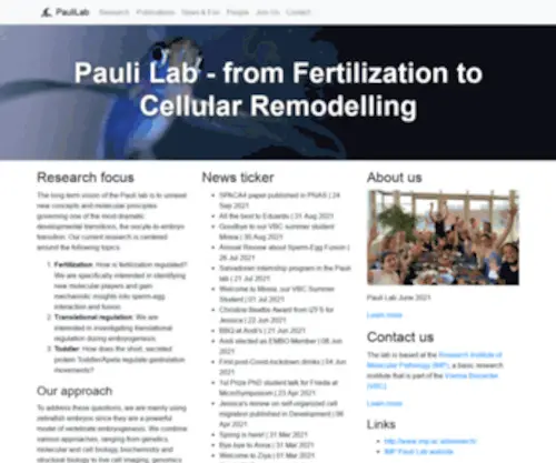 Paulilab.org(Pauli Lab) Screenshot