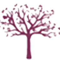 Paulinedrean.fr Favicon