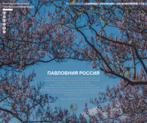 Paulownia-Russia.ru(Павловния) Screenshot