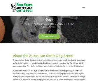 Pawhavenaustraliancattledogs.com(Paw Haven Australian Cattle Dogs) Screenshot