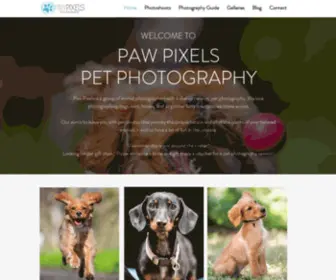 Pawpixels.com(Pet gift ideas) Screenshot