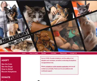 Pawplacement.org(Paw Placement Animal Rescue Group) Screenshot