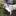 Pawsandeffectblog.com Favicon