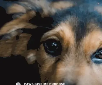 Pawsgivemepurpose.com(Hearts Like Dogs) Screenshot