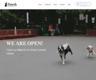 Pawshboston.com(PAWSH) Screenshot