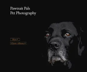 Pawtraitpals.co.uk(Dog Photographer) Screenshot