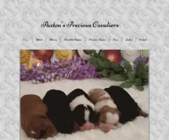 Paxtonspreciouscavaliers.com(Paxton's Precious Cavaliers in Fresno California) Screenshot