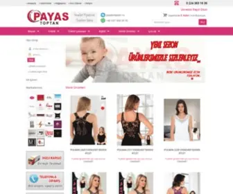 Payastoptan.com(Payas Toptan) Screenshot