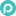 Paydici.com Logo