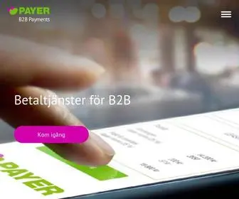 Payer.se(Perfect B2B Order to Cash process) Screenshot