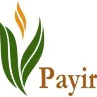 Payir.org Favicon