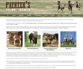 Paynterspaintranch.com(Colorful Paint Horses for Breeding and Sales) Screenshot