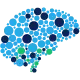 Pbneuro.com Favicon