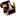 PBVC.com Favicon