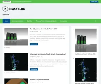 Pceasyblog.org(1-What a VPN does) Screenshot