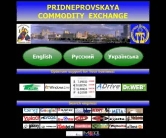 Pce.co.ua(Pridneprovskaya Commodity Exchange) Screenshot