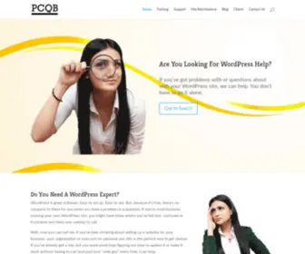 PCQB.com(PCQB Long Island WordPress Help) Screenshot