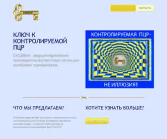 PCrcontrol.ru(PCR control) Screenshot