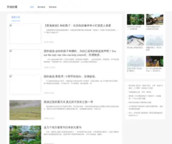 PCzhi.com(网志手游网) Screenshot