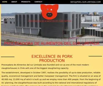Pdel-SUR-Limitada.com((武汉)有限公司) Screenshot