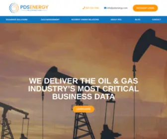PDS-Austin.com(PDS Energy) Screenshot