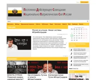 PDSNPSR.ru(Постоянно Действующиее Совещание Национально) Screenshot
