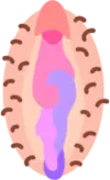 Peachesofficialblog.com Favicon