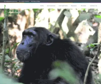 Pearlofafricatours.com(Pearl of Africa Tours and Travel Ltd) Screenshot