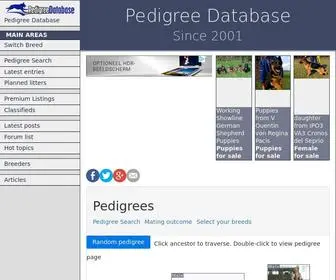 Pedigreedatabase.com(Pedigree Database) Screenshot