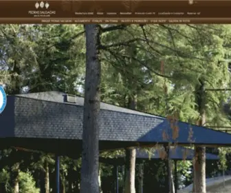 Pedrassalgadaspark.com(Parque de Pedras Salgadas) Screenshot