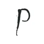 Pedrosmaine.com Logo