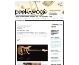 Peekamoose.com(Peekamoose Custom Guitars and Guitar Repair NYC) Screenshot