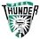 Peelthunder.com.au Logo