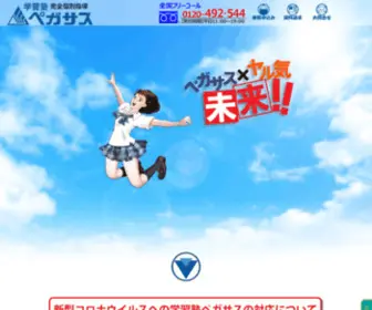 Pegasus-JP.com(Pegasus JP) Screenshot