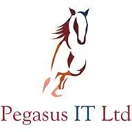Pegasusitsolutions.co.uk Logo