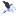 Pegasusmail.nl Favicon