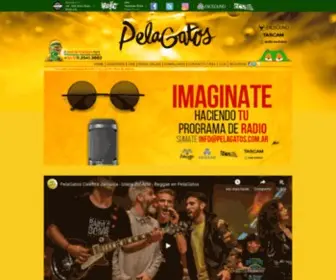 Pelagatos.com.ar(Radio Reggae) Screenshot