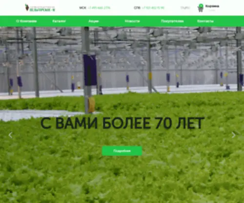 Pelgorskoe.ru(Pelgorskoe) Screenshot