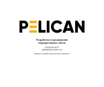 Pelican-Studio.com(PELICAN STUDIO / Разработка и продвижение корпоративных сайтов во Владимире и Москве) Screenshot