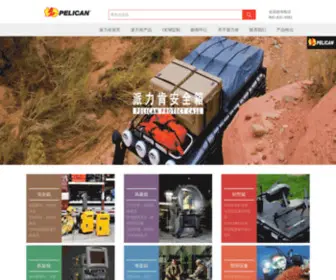 Pelicanchina.com(派力肯) Screenshot