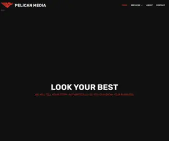 Pelicanmedia.net(Pelican Media) Screenshot